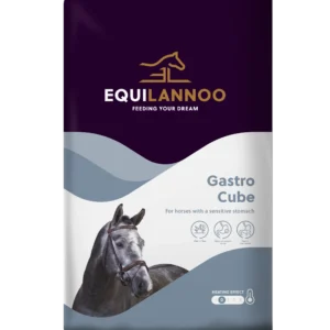 gastro cube