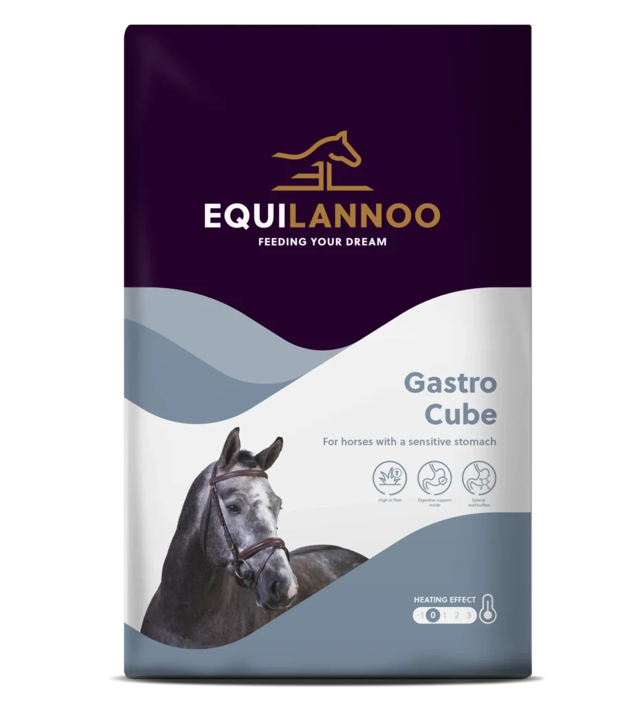 gastro cube